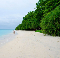 Port Blair with Havelock Beaches