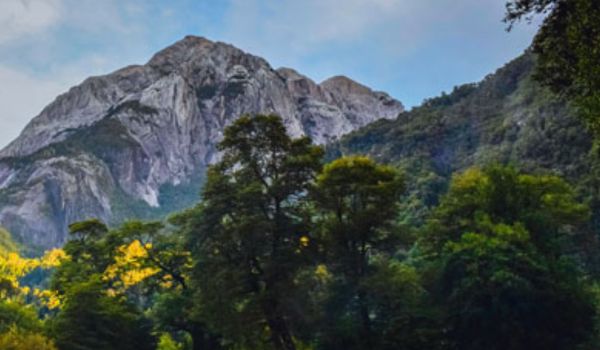 Kumaon Delights Best Uttarakhand Tour Package